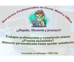 Se realizan trabajos en word, excel y office