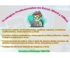 Se realizan trabajos en word, excel, power point y photoshop - 2