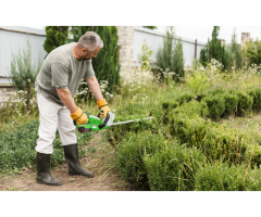 Tree Care Services Sacramento - Cisnerostreecare
