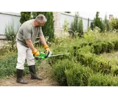 Tree Care Services Sacramento - Cisnerostreecare