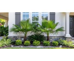 Top-Rated Landscape Lighting Low Voltage Winter Haven Solutions