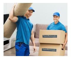 Moving and Storage Services
