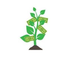 Business and personal loans - 2