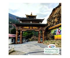 Bhutan Tour Packages from Delhi A Journey into Himalayan Peace