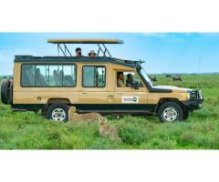 Mikumi National Park Safari