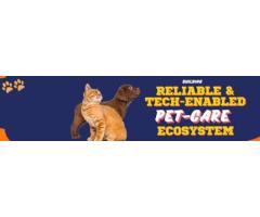 Pet Grooming near me - By ThePetNest