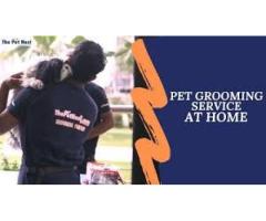 Pet Grooming near me - By ThePetNest - 3