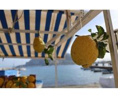 Palermo Travel Guide by Time for Travelling - Explore Sicily Like a Local - 6