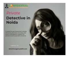 Get Verified Facts Fast Private Detective for Personal Investigation Cases