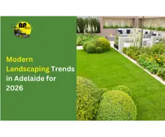 Looking for Modern Landscaping Trends in Adelaide