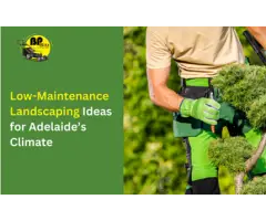 Looking for Low Maintenance Landscaping Adelaide