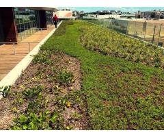 Professional BIM Modeling for Better Planning and Execution Call Today - 3