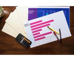 Professional Search Engine Optimization Services for Business Growth