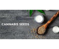 CBD Smartshop SpySeeds