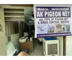 Best bird control service in Ghaziabad