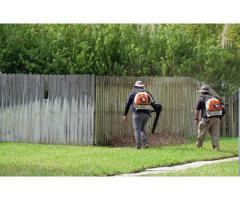 Expert Lawn Landscaping Service Auburndale for Beautiful Lawns