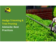 Looking for Hedge Trimming Tree Pruning Adelaide