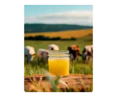 Gir Cow Ghee Price Today Pure A2 Desi Ghee at Best Market Rate