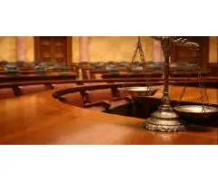 Professional Advocate in Dwarka Court Offering Legal Consultation