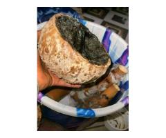 The best powerful spiritual herbalist native doctor in Nigeria