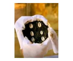 The best powerful spiritual herbalist native doctor in Nigeria - 4