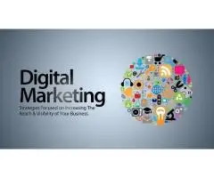 Best SEO Agency in Jaipur