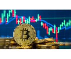 Looking to launch your own cryptocurrency with advanced features and secure architecture