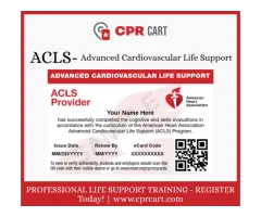 Earn AHA ACLS Provider eCard Online Learning Skills Testing