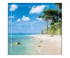 Andaman Package Tour from Kolkata Where Ocean Breezes Meet Timeless Island Beauty