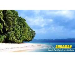 Andaman Package Tour from Kolkata Where Ocean Breezes Meet Timeless Island Beauty - 9
