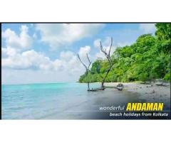 Andaman Package Tour from Kolkata Where Ocean Breezes Meet Timeless Island Beauty - 10