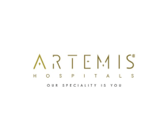 Top Physiotherapists in Gurgaon Recovery & Rehab Care at Artemis Hospital