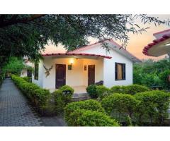 Couple-Friendly Resort in Corbett, Ramnagar