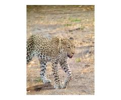 7 days Magic safaris - 2