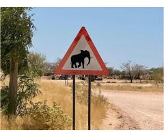 7 days Magic safaris - 4