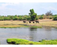 7 days Magic safaris - 8