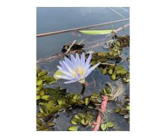 7 days Magic safaris - 9