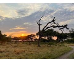 7 days Magic safaris - 10