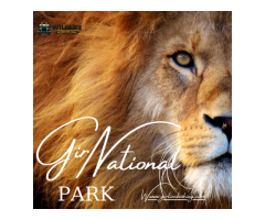 Gir national park famous for lion