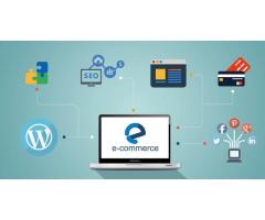 Ecommerce Development Services in Jaipur