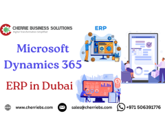 Eliminate Hidden Business Hassles with Smart Dubai ERP Systems