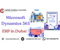 Eliminate Hidden Business Hassles with Smart Dubai ERP Systems