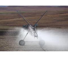 Irrigation Installation Services Designed for Water Efficiency - 6