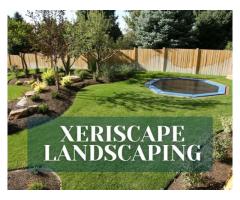 Xeriscape Landscaping Services in Austin, TX