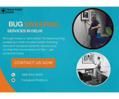 Protect Your Data with Bug Sweeping Services in Delhi