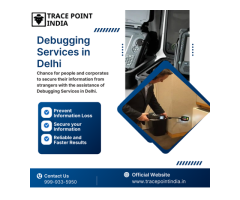 Protect Your Data with Bug Sweeping Services in Delhi - 2