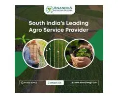 Nursery Plant Consultancy Service in Madurai