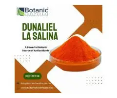 Dunaliella Salina Extract for Antioxidant and Immune Support
