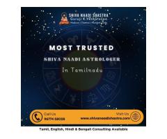 Leadonf Shiva Nadi Astrology Center in Mumbai