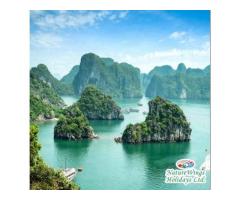 Vietnam Package Tour from Kolkata Beyond Sightseeing, Into Authentic Experiences - 4